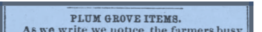 Plum Grove Items